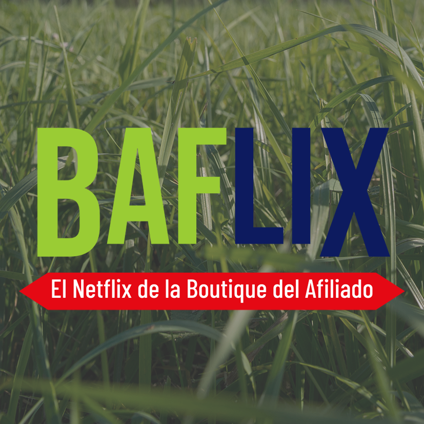 En este momento estás viendo BAFLIX